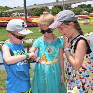 Meet your Posher, Mollie